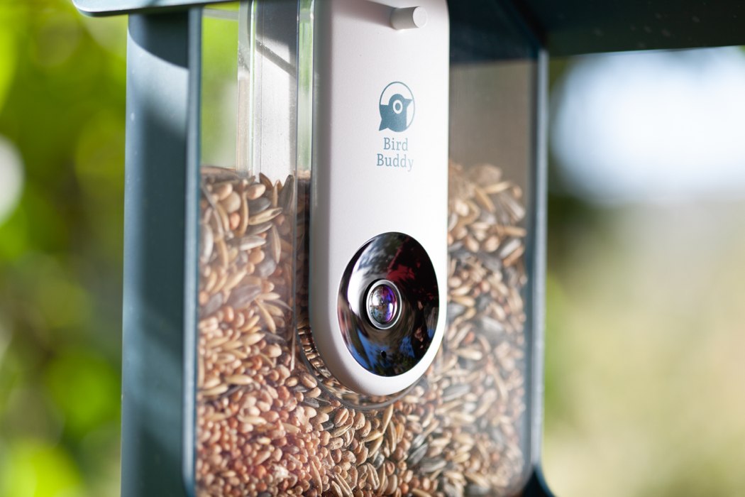 Bird Buddy，Feeder，birds，