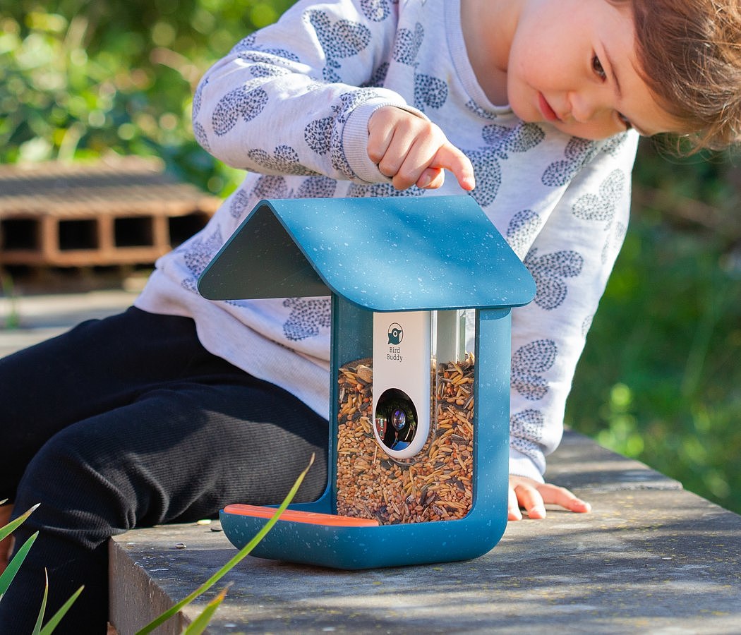 Bird Buddy，Feeder，birds，