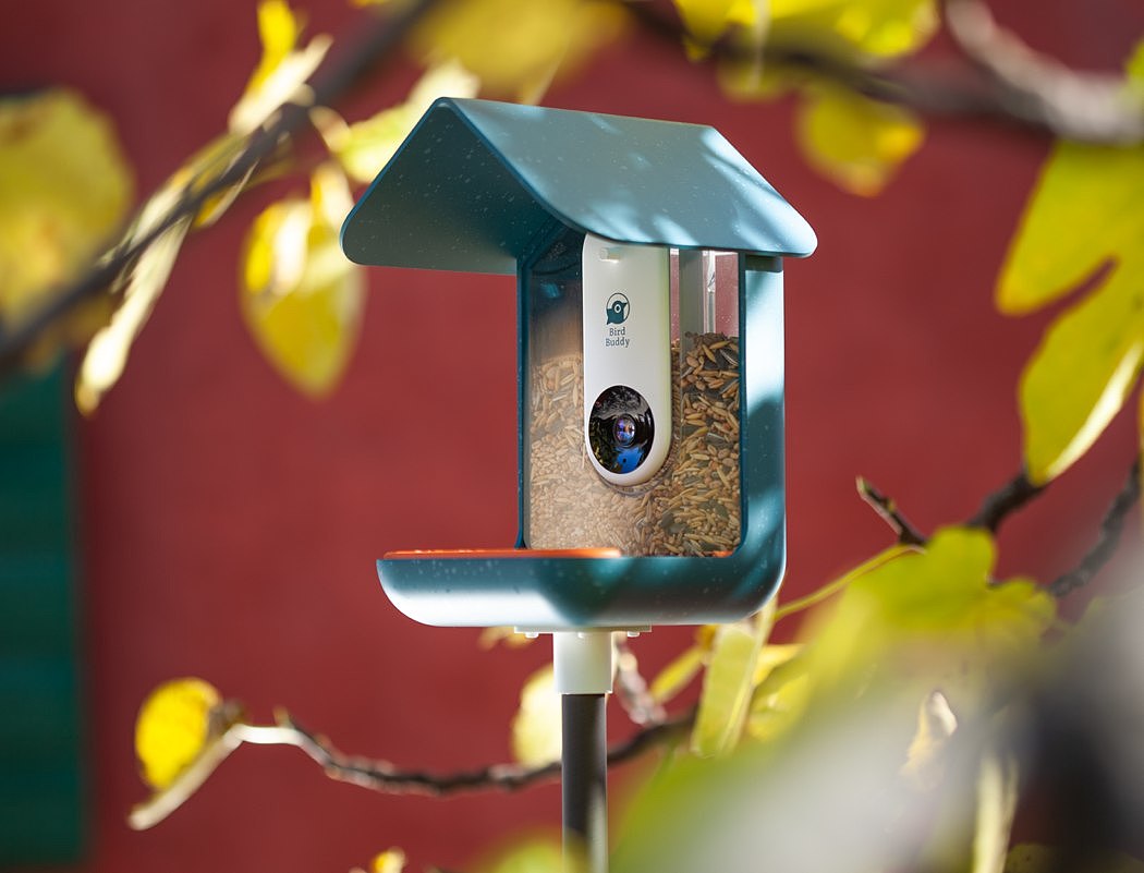 Bird Buddy，喂食器，鸟类，