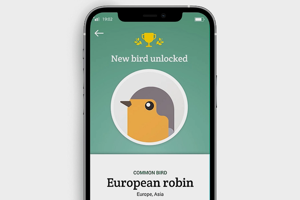 Bird Buddy，Feeder，birds，