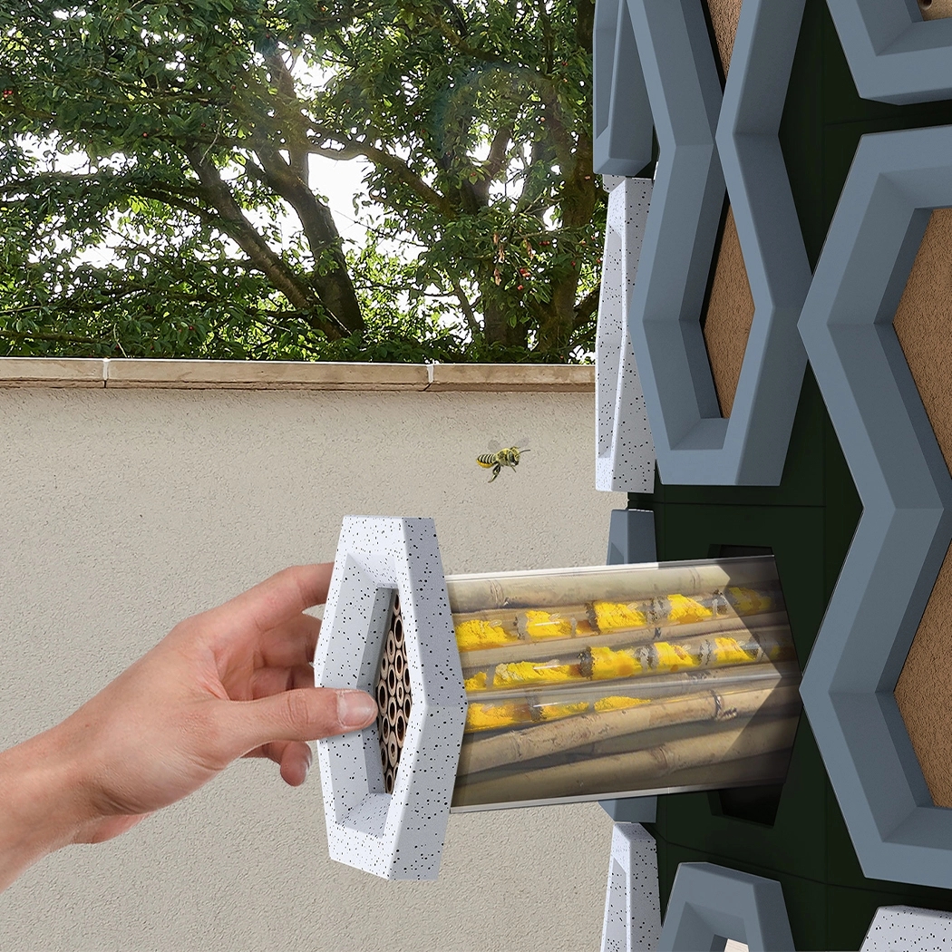 honeybee，honeycomb，community，modularization，