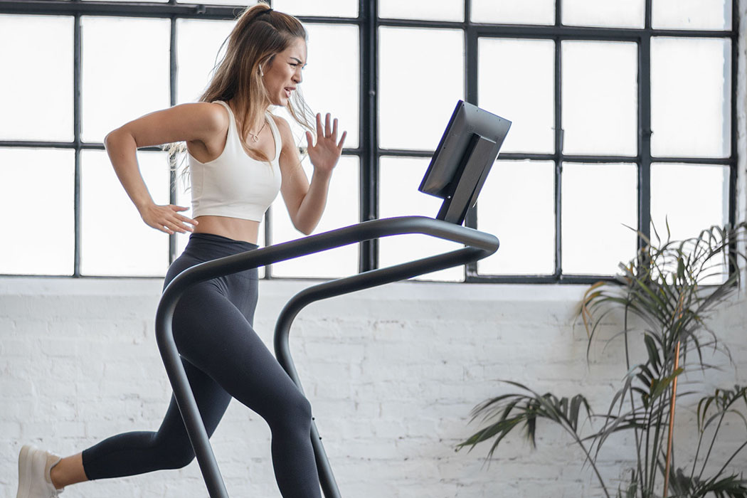 solid wood，Treadmill，Low noise，Sprintbok，Fitness Equipment，