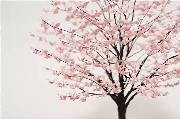 miniature，Thousand paper cranes，Naoki Onogawa，Potted plants，ornaments，