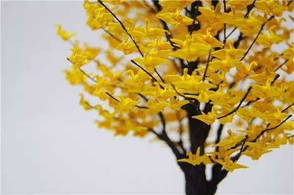 miniature，Thousand paper cranes，Naoki Onogawa，Potted plants，ornaments，