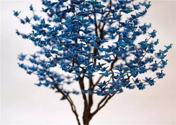 miniature，Thousand paper cranes，Naoki Onogawa，Potted plants，ornaments，