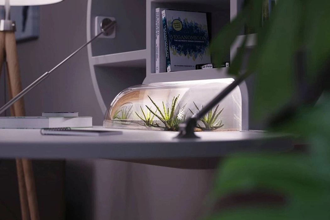 to work in an office，Table，wooden ，practical，