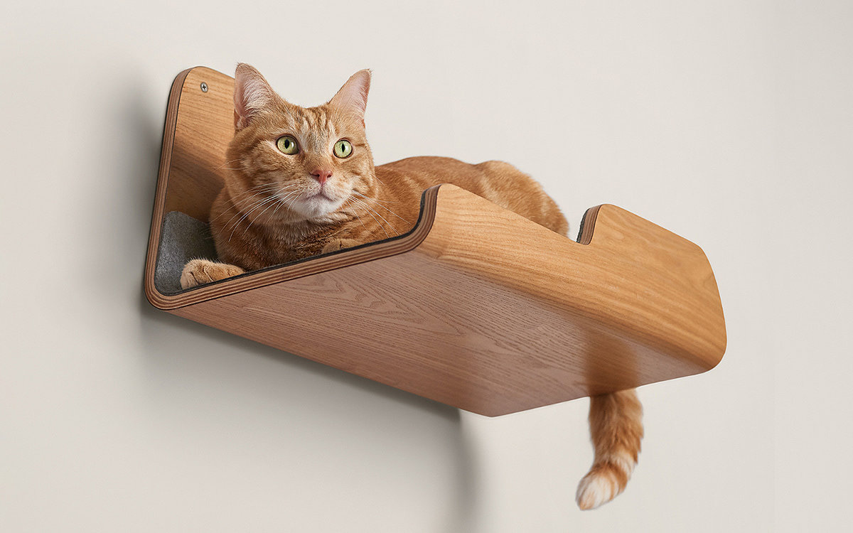 cat，board，classical，modern，wooden ，