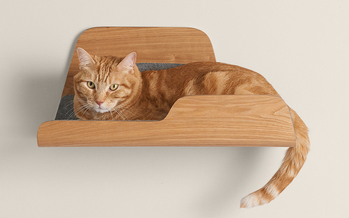 cat，board，classical，modern，wooden ，