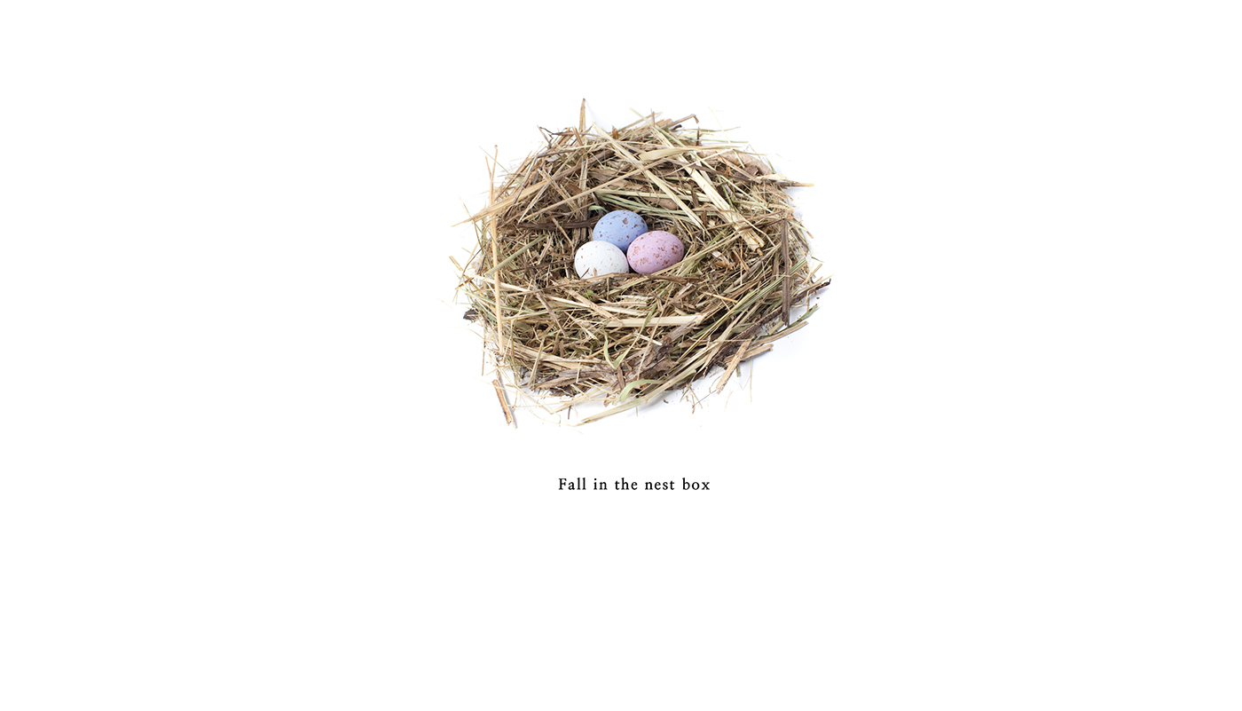 UAV，Amazon，Delivery，product design，