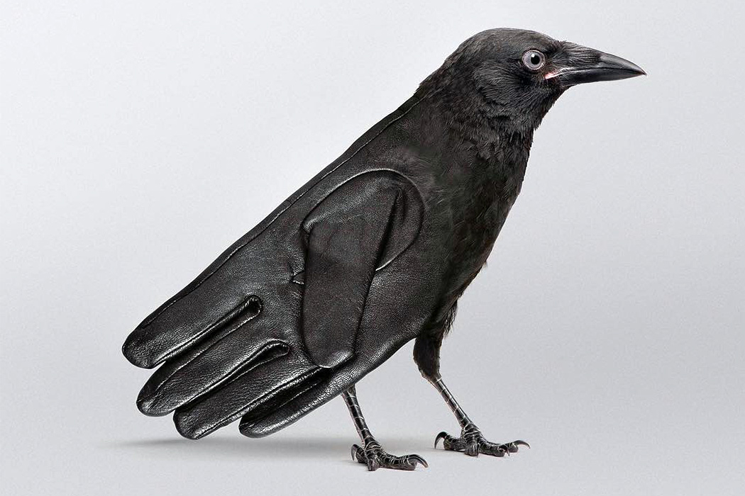 Roller skating shoes，Tank，Trashed People，Leather gloves，dinner，