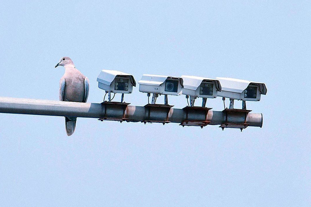 Roller skating shoes，Tank，Trashed People，Leather gloves，dinner，