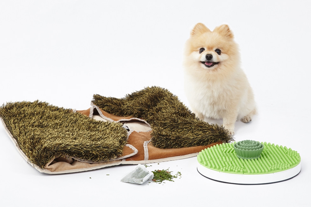 dog，Toys，smell，Portable，