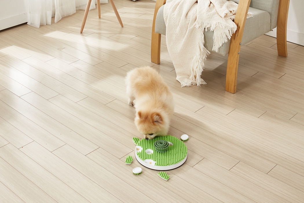 dog，Toys，smell，Portable，