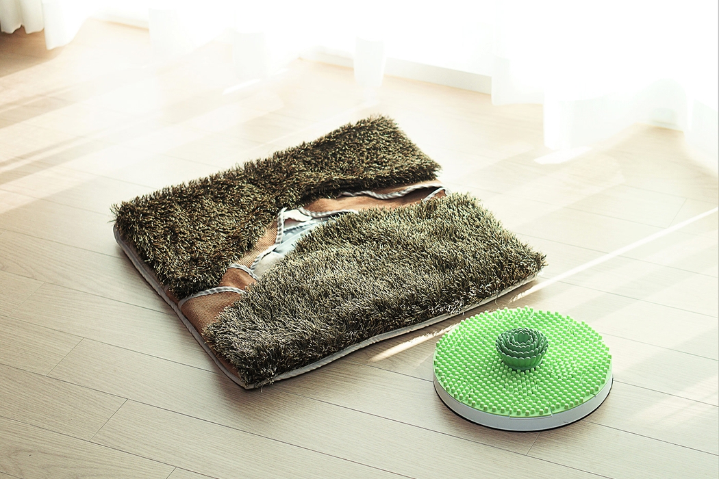 dog，Toys，smell，Portable，