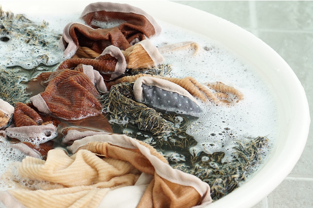 dog，Toys，smell，Portable，