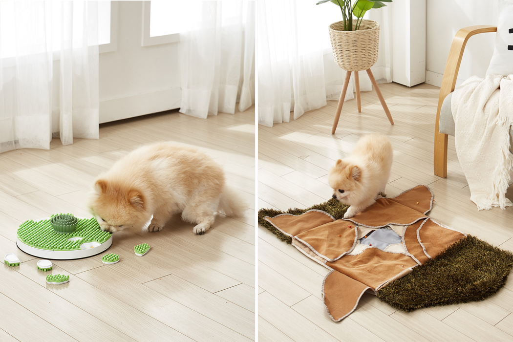 dog，Toys，smell，Portable，