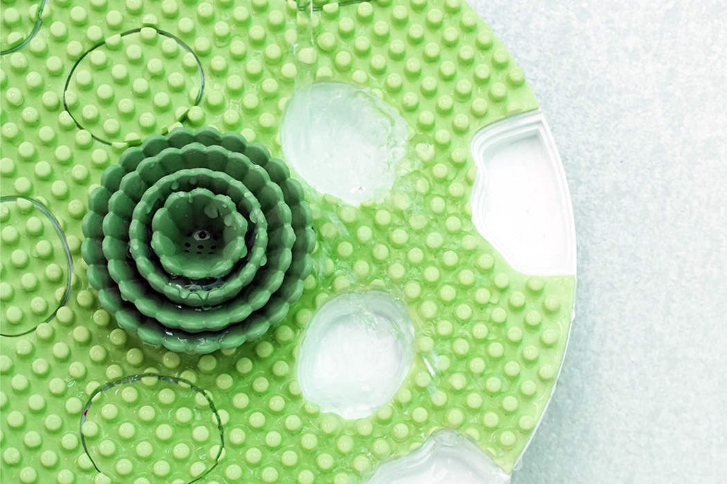 dog，Toys，smell，Portable，