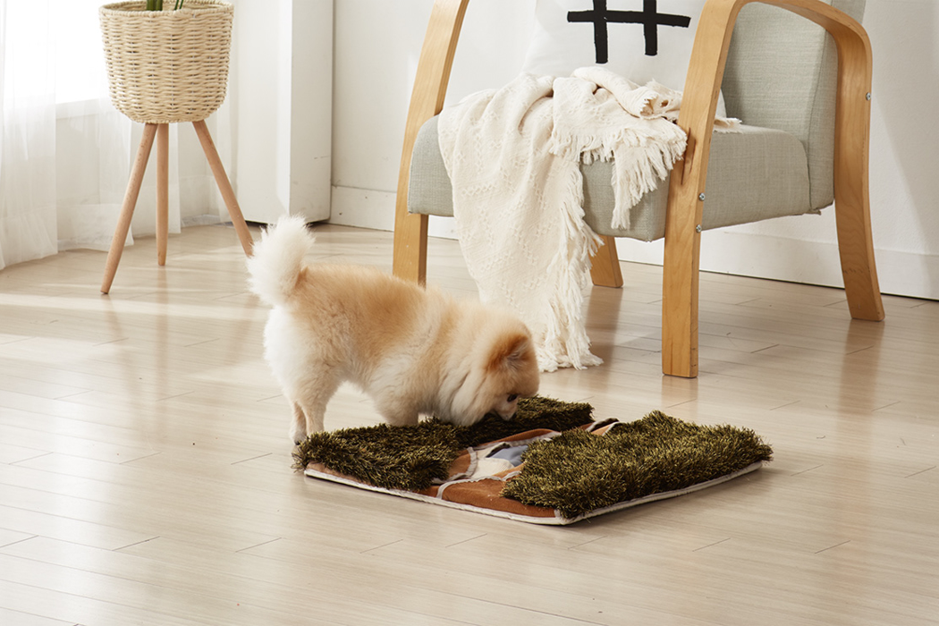 dog，Toys，smell，Portable，