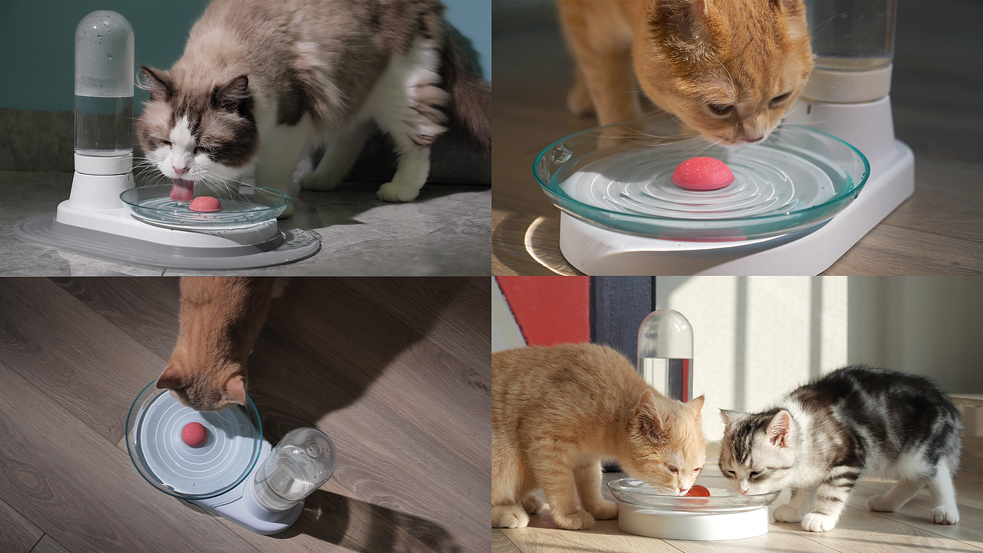 Pet water feeder，