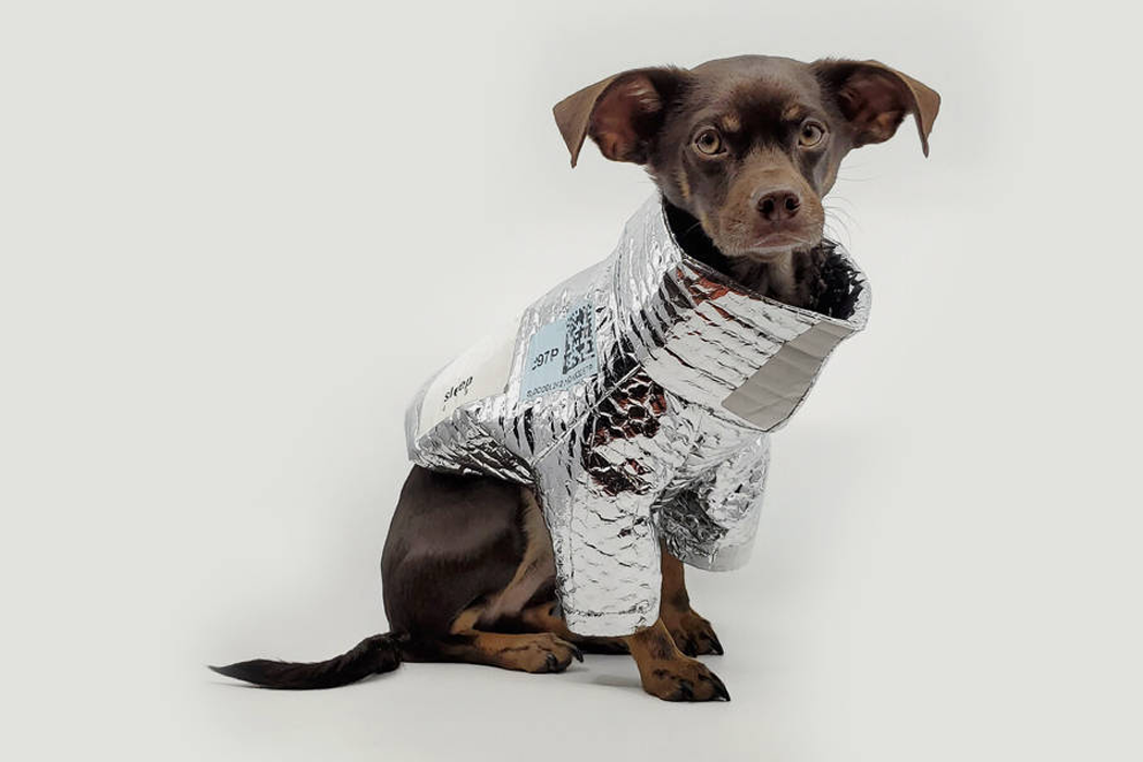 Between Two Naps，Pets，loose coat，polypropylene，Delivery Jacket，