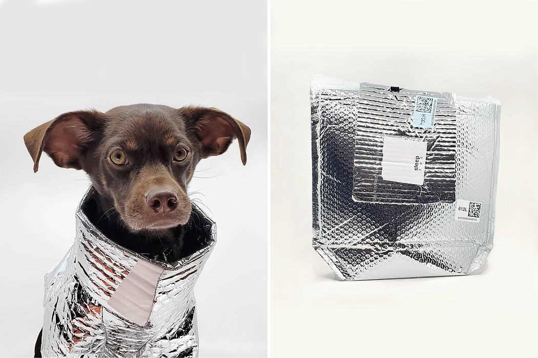 Between Two Naps，Pets，loose coat，polypropylene，Delivery Jacket，