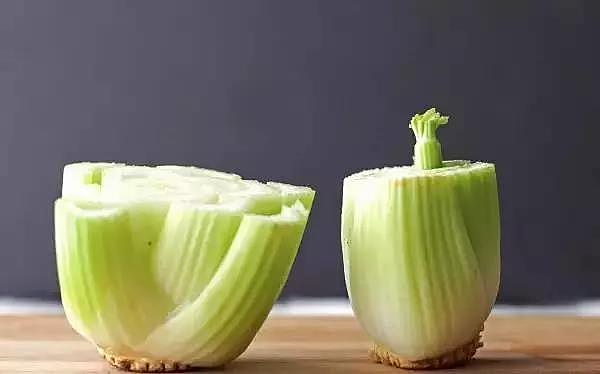 diy，Vegetables，Potted plants，Micro landscape，