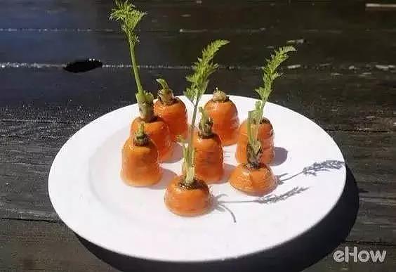 diy，Vegetables，Potted plants，Micro landscape，