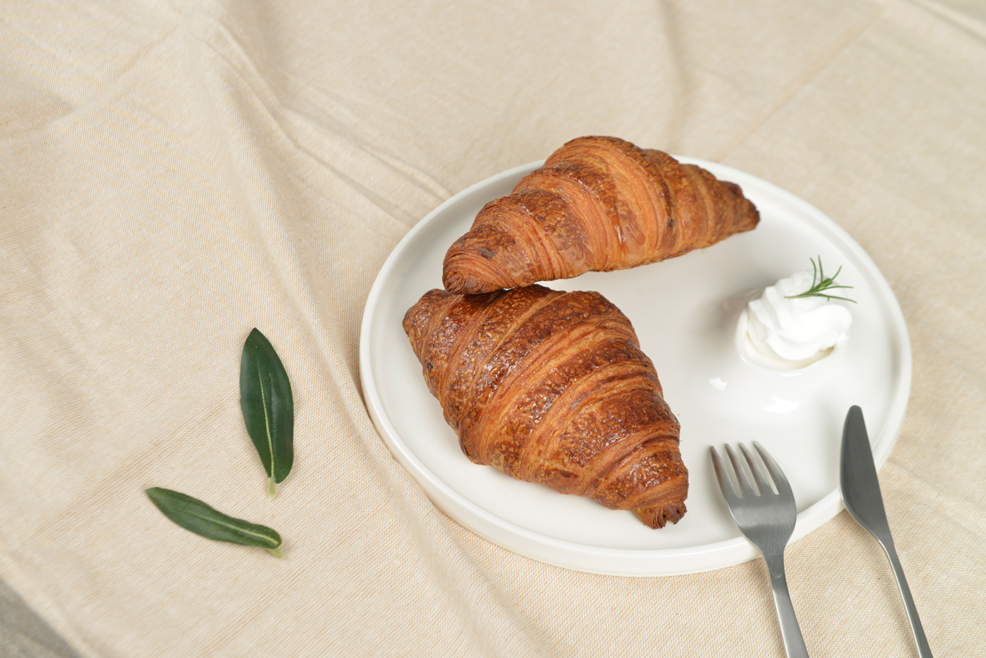 tableware，moon，plate，ceramics，a plate，