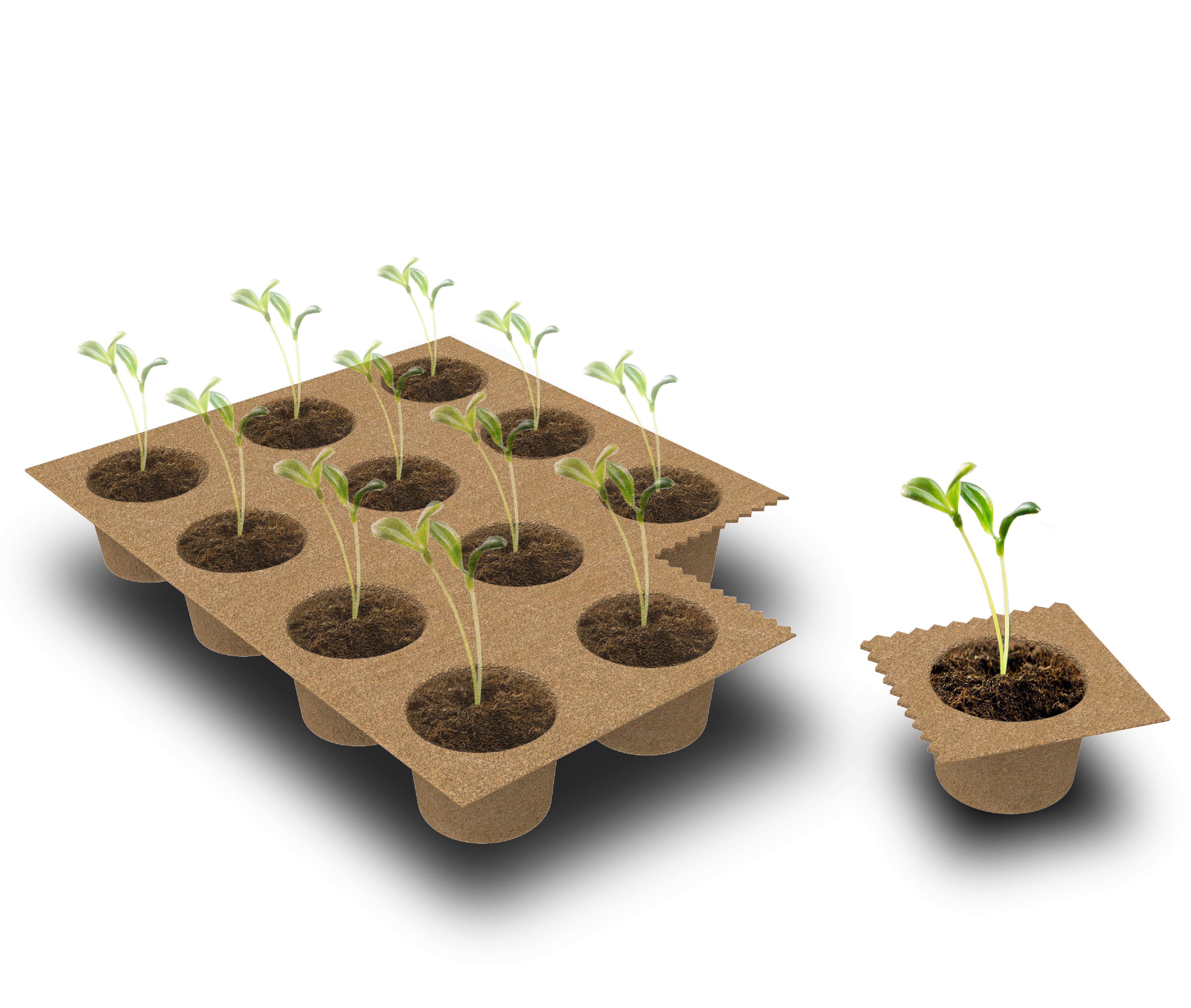 Red Star Award，Original award，an electric appliance，Collection，Design description，