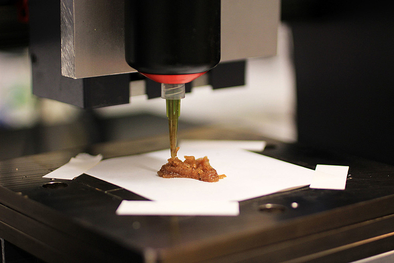 High-tech，3D printing，food，novel，