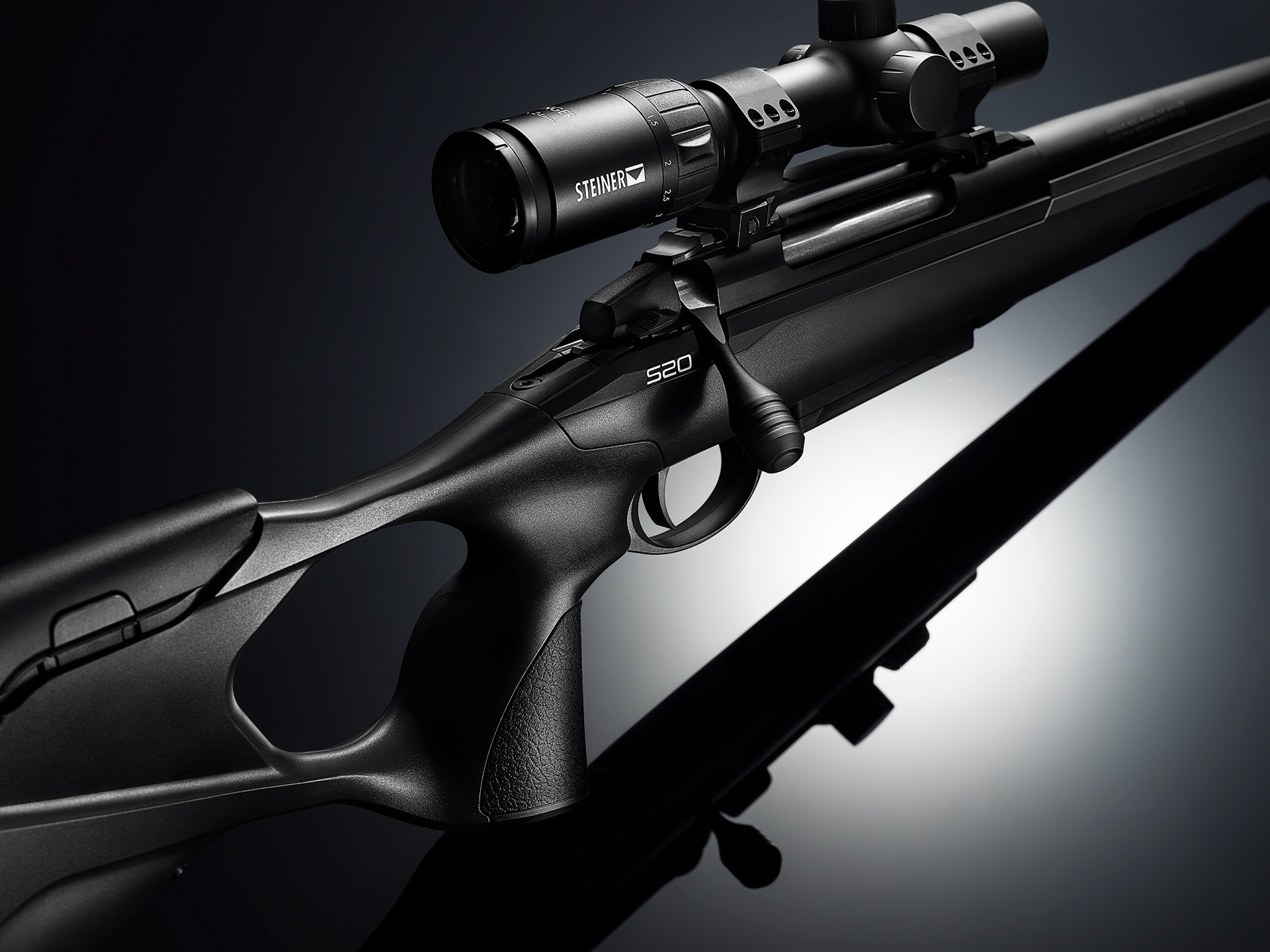 SAKO，gun，arms，Sarkozy international movement，