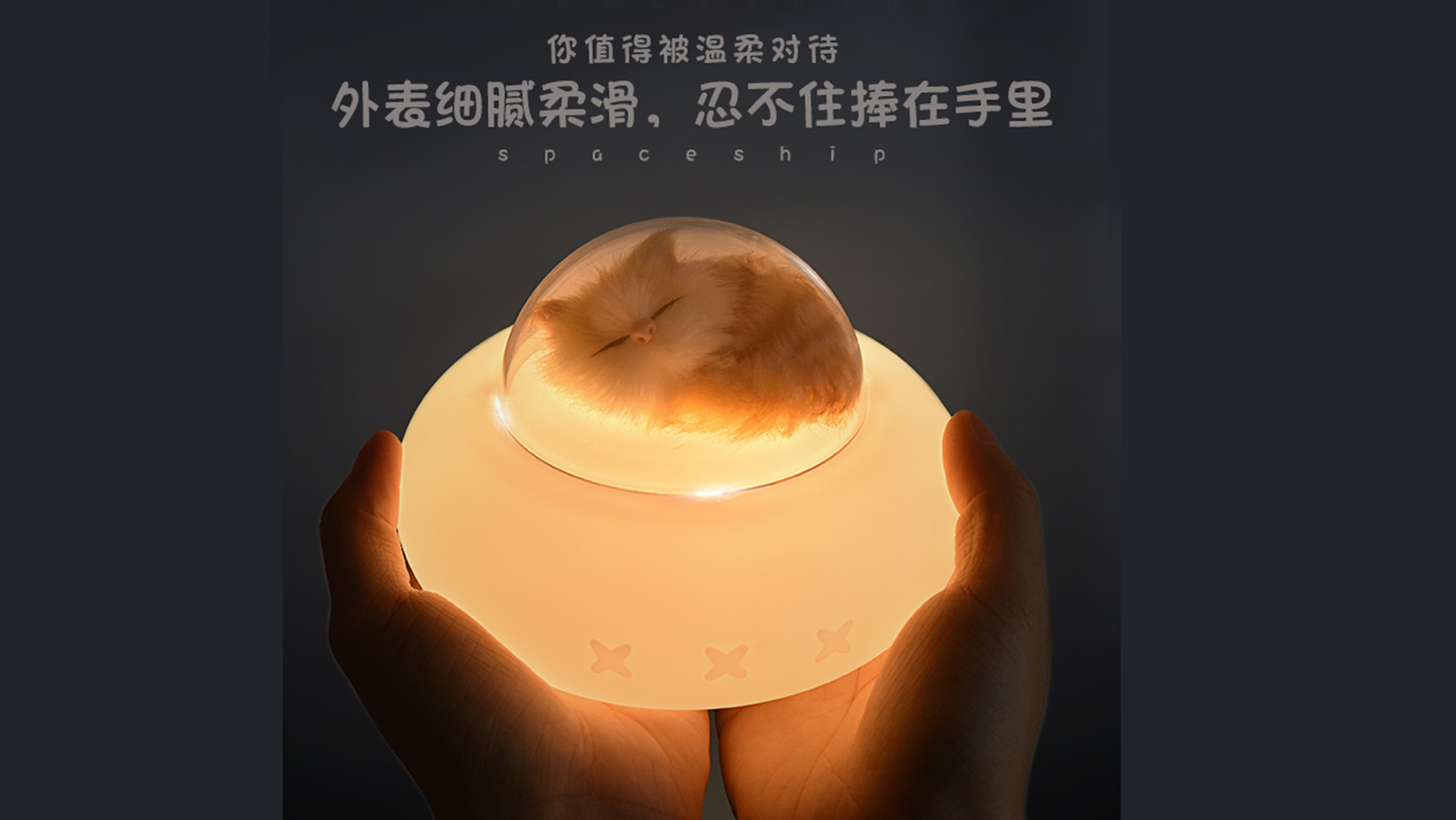 Cute pet of meow star man and Wang star man，