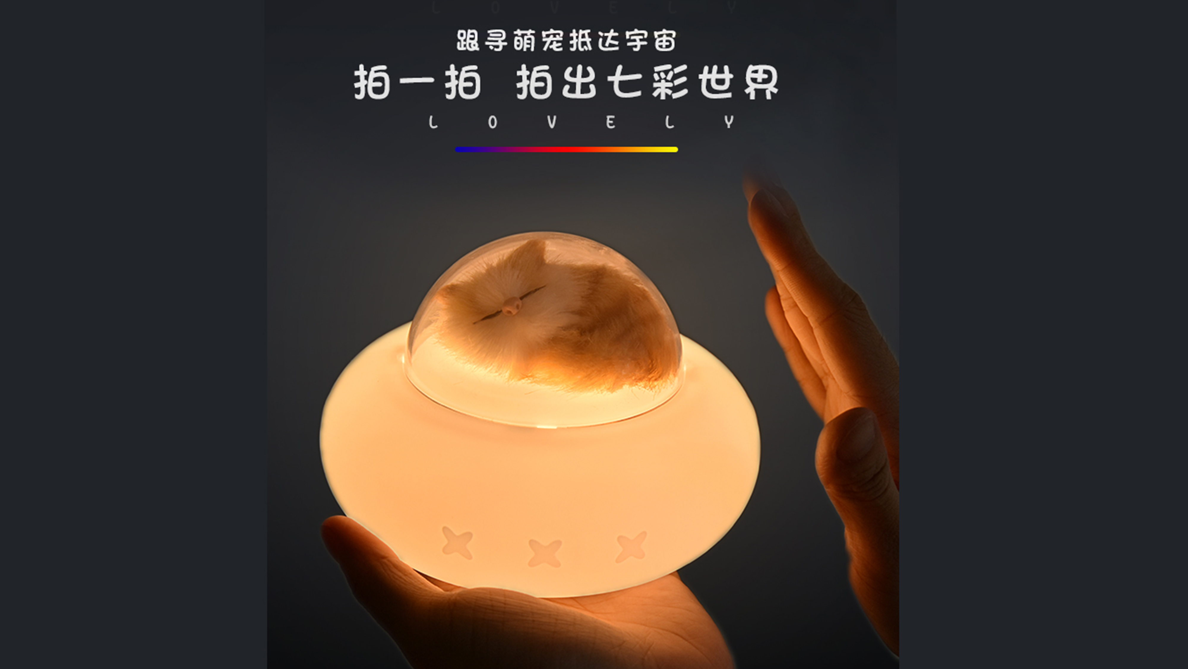 Cute pet of meow star man and Wang star man，