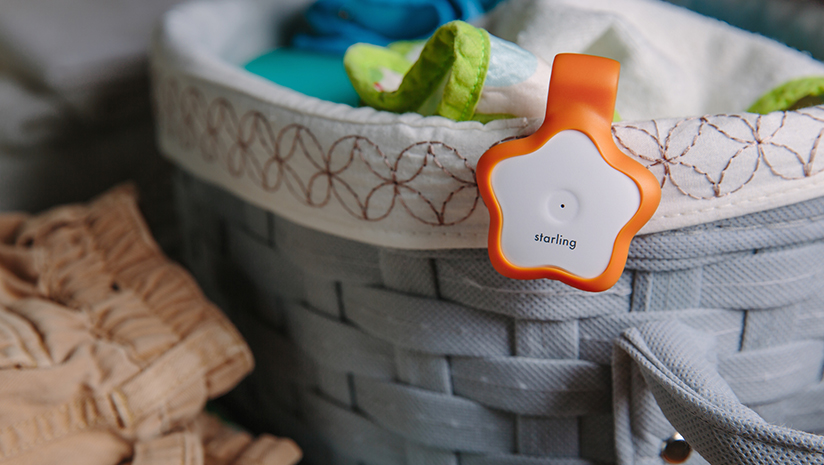 Electronics，science and technology，children，intelligence quotient，Early education，