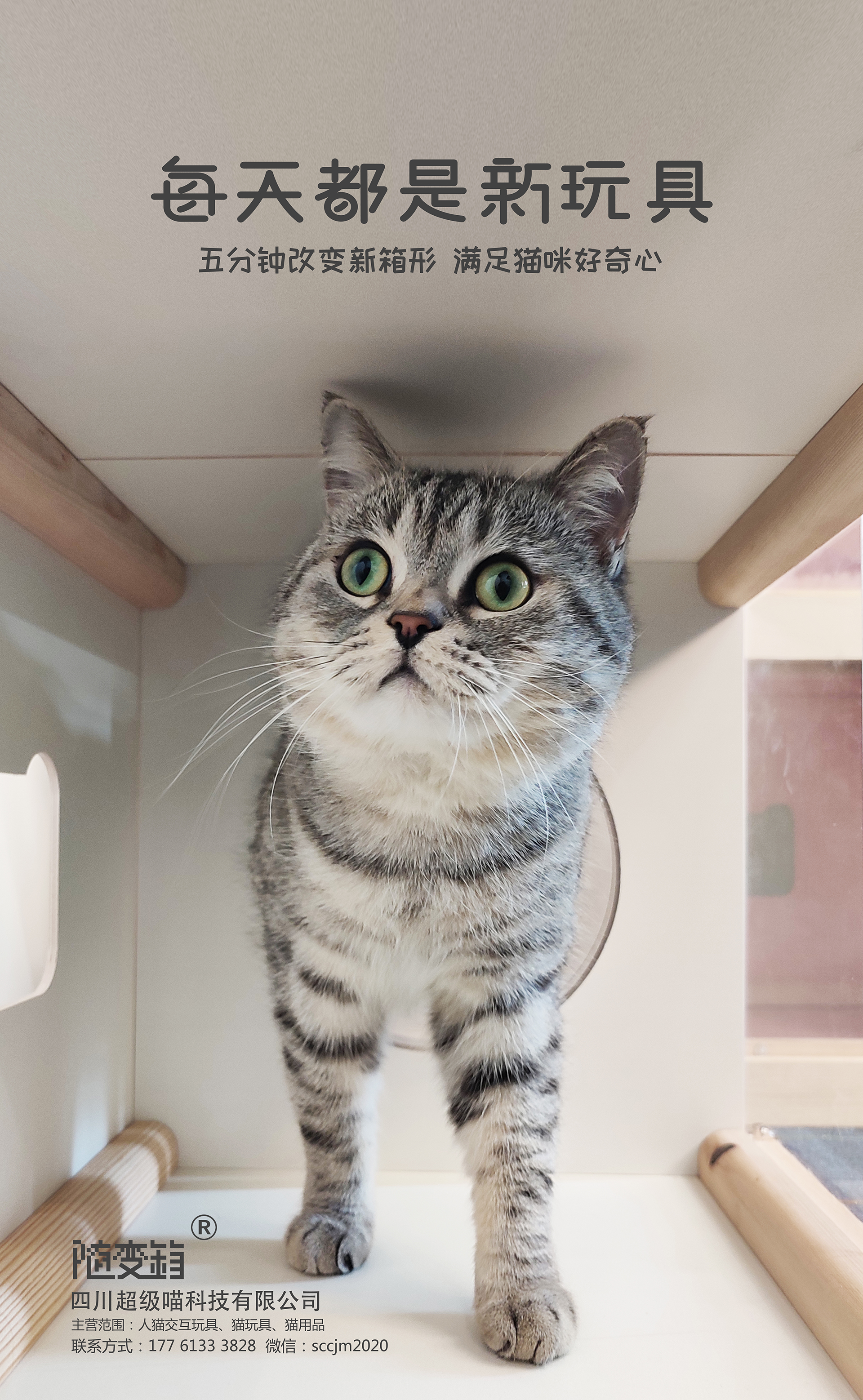 Cat toys，Cat box，Lego，Building blocks，Assembled toys，