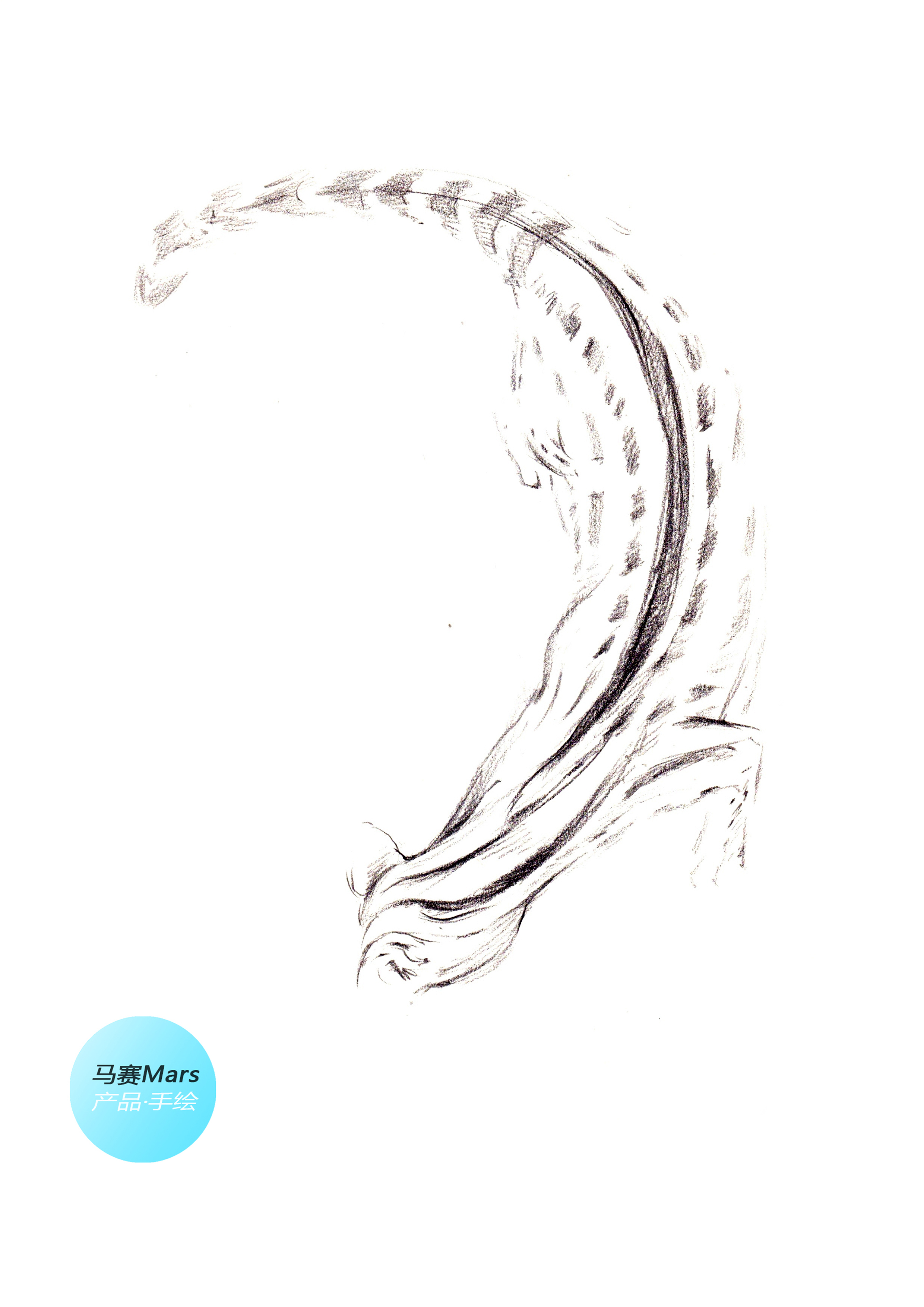 Original hand drawn，Learn from nature，Original design，Industrial product design and modeling design，Hand drawn product design，