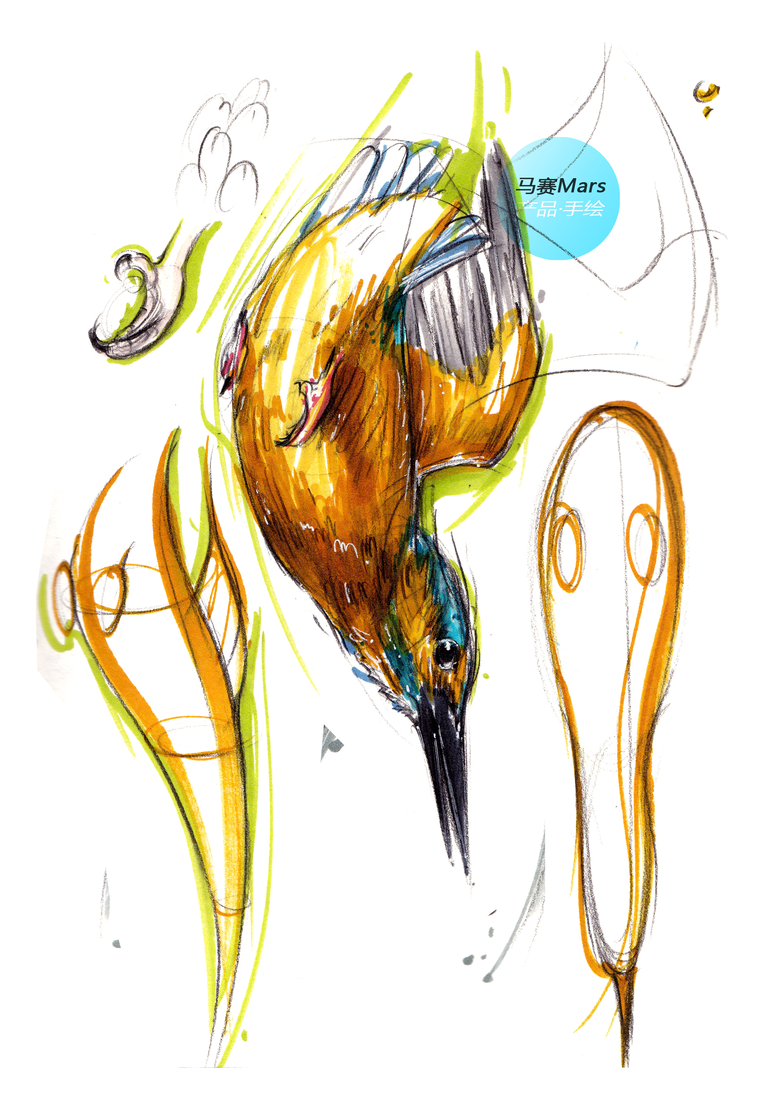 Original hand drawn，Learn from nature，Original design，Industrial product design and modeling design，Hand drawn product design，