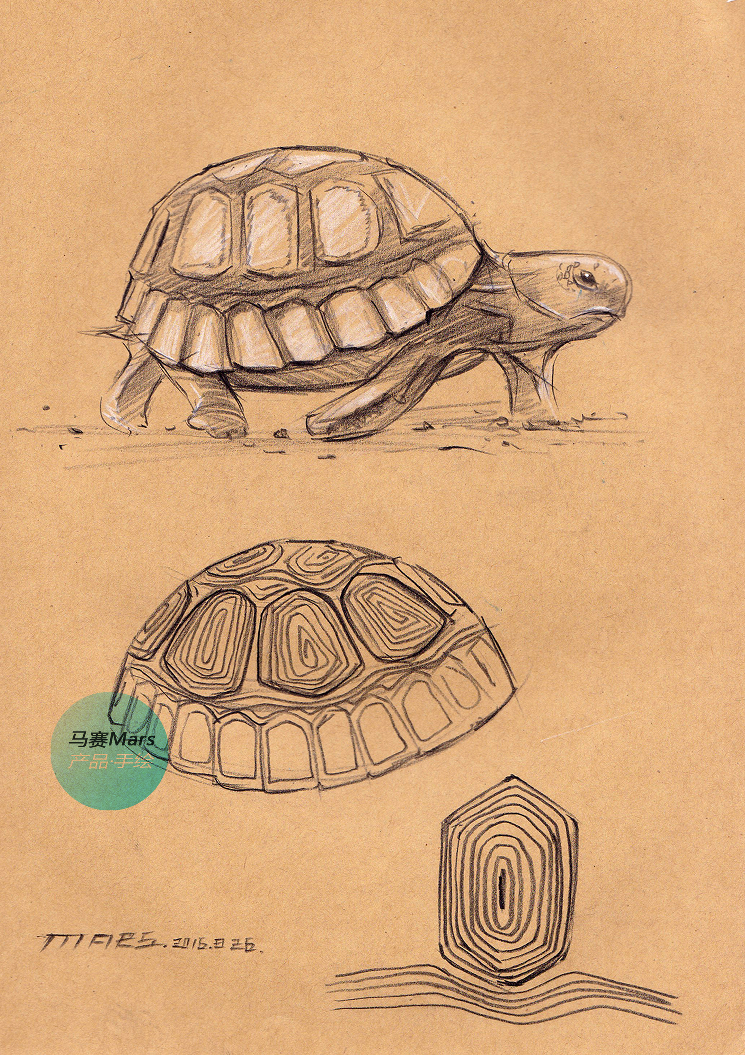 Original hand drawn，Learn from nature，Original design，Industrial product design and modeling design，Hand drawn product design，