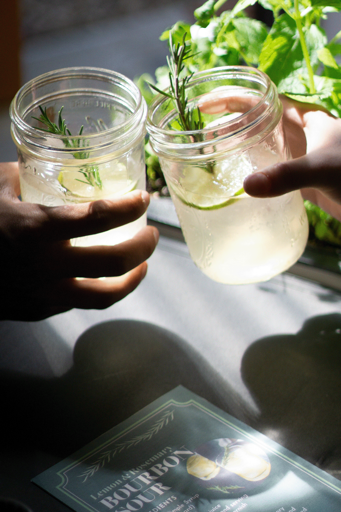 Cocktail，garden cart，seeder，brand，