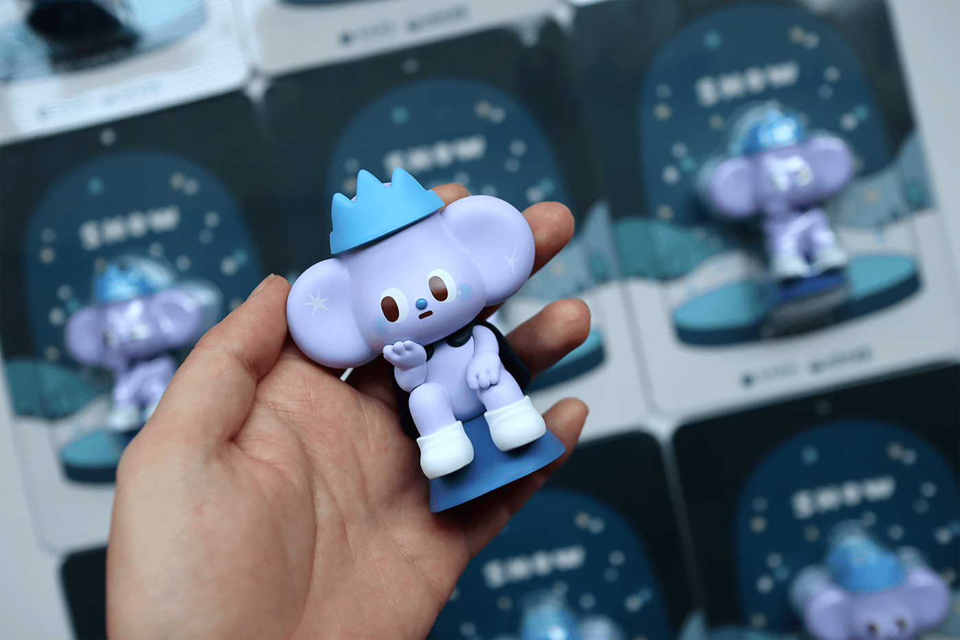 Toys，Raccoon，snow，