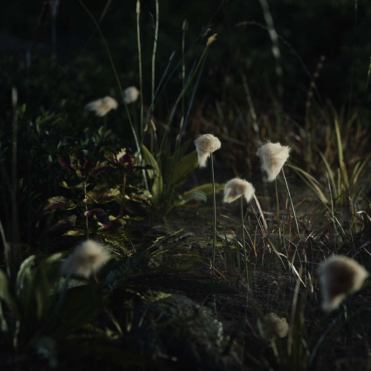 Architecture，Iceland，mountain range，rock，