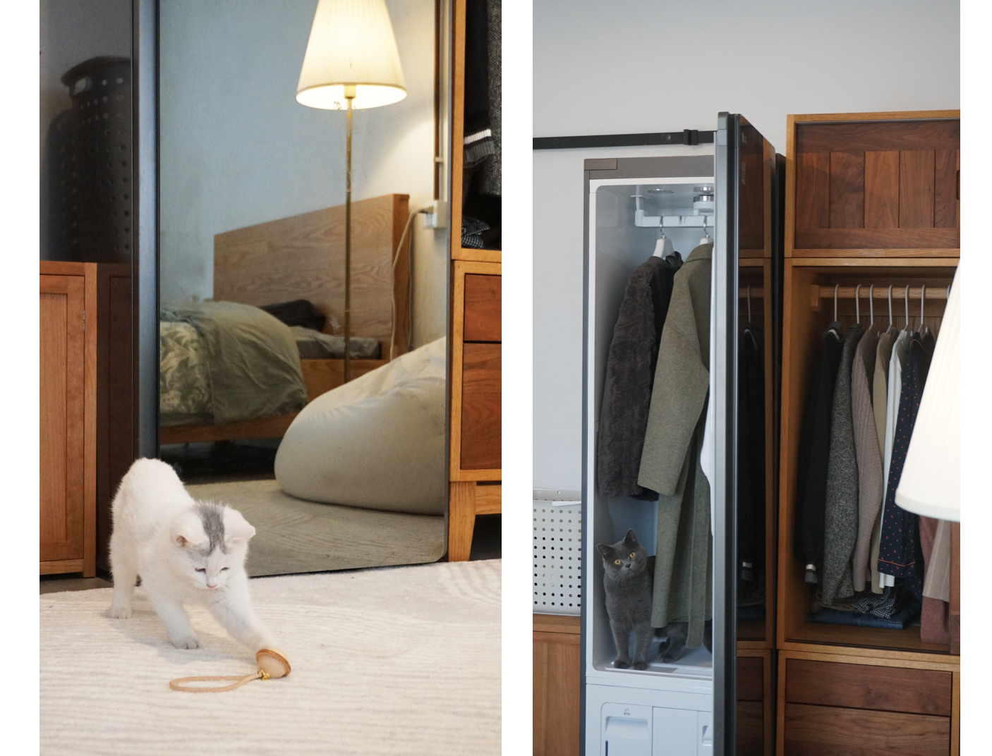 Home appliance evaluation, clothing care machine，