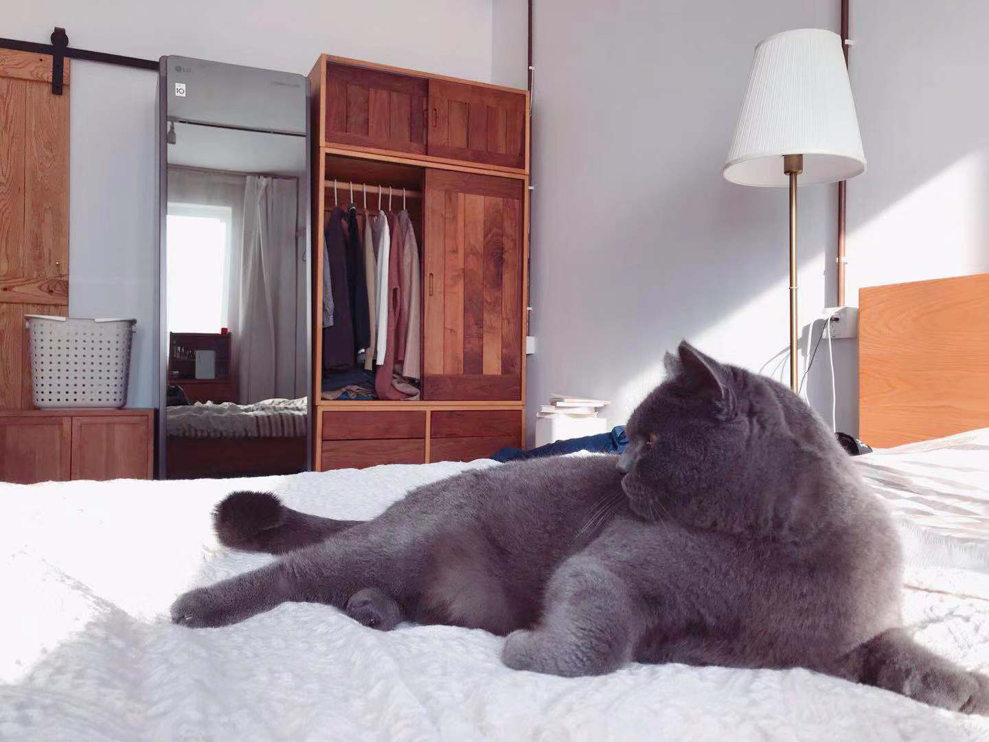 Home appliance evaluation, clothing care machine，