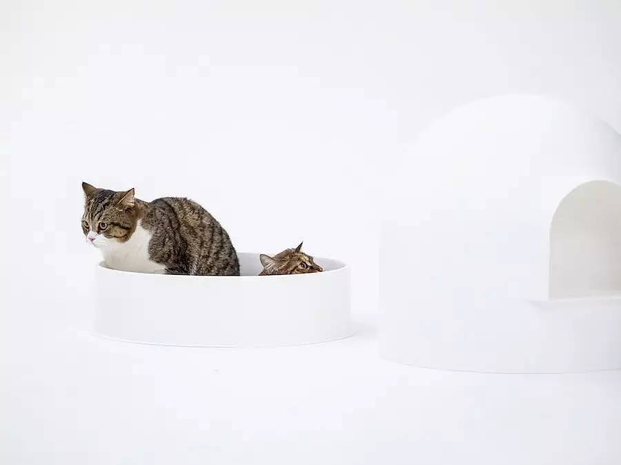 Snow house，Pet Supplies & Pet，red dot，Rapidan ，Litter Basin，