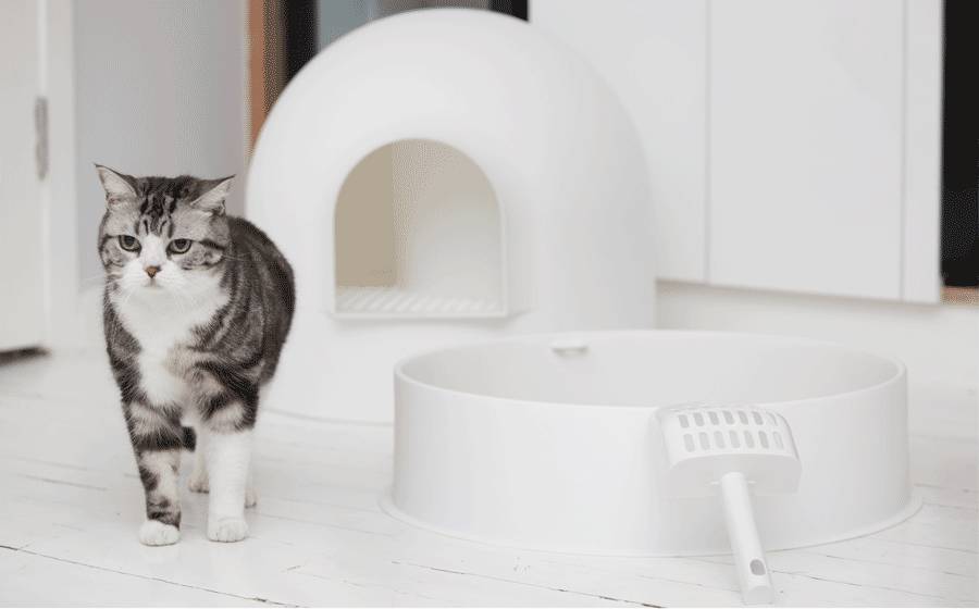 Snow house，Pet Supplies & Pet，red dot，Rapidan ，Litter Basin，