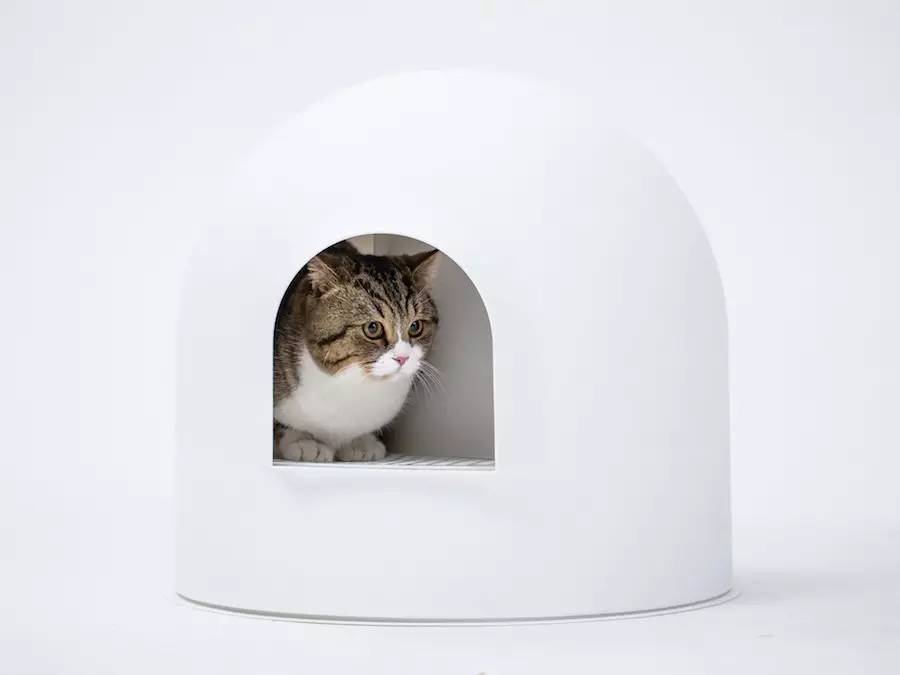 Snow house，Pet Supplies & Pet，red dot，Rapidan ，Litter Basin，