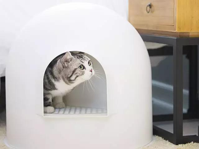 Snow house，Pet Supplies & Pet，red dot，Rapidan ，Litter Basin，