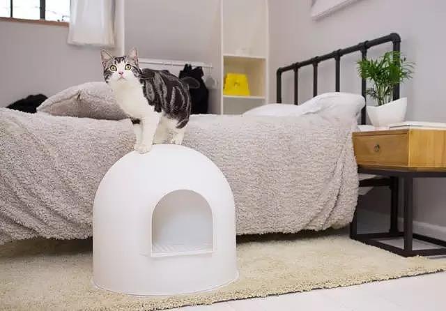 Snow house，Pet Supplies & Pet，red dot，Rapidan ，Litter Basin，