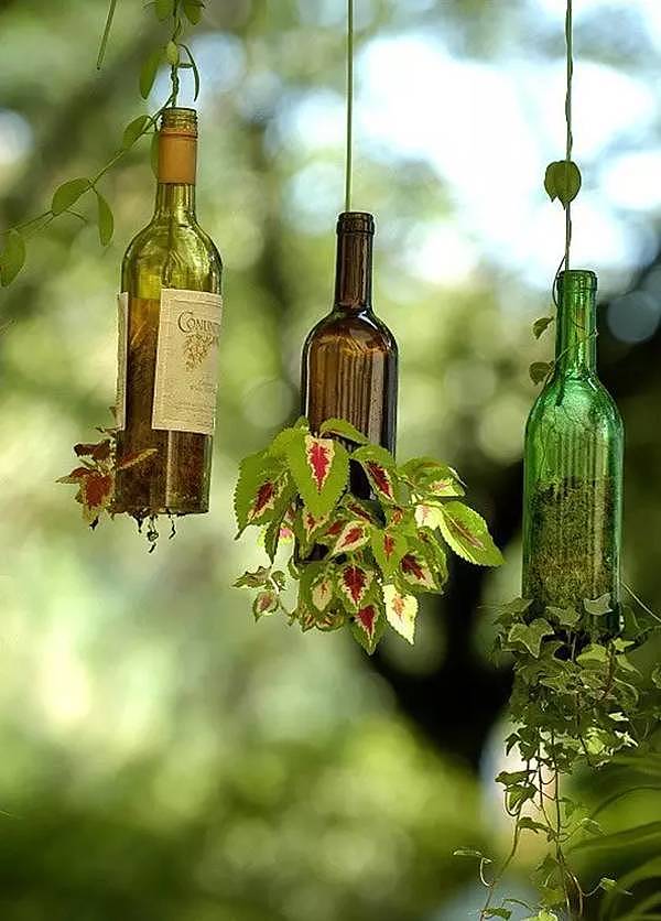 diy，The wine bottle，Home Furnishing，Micro landscape，