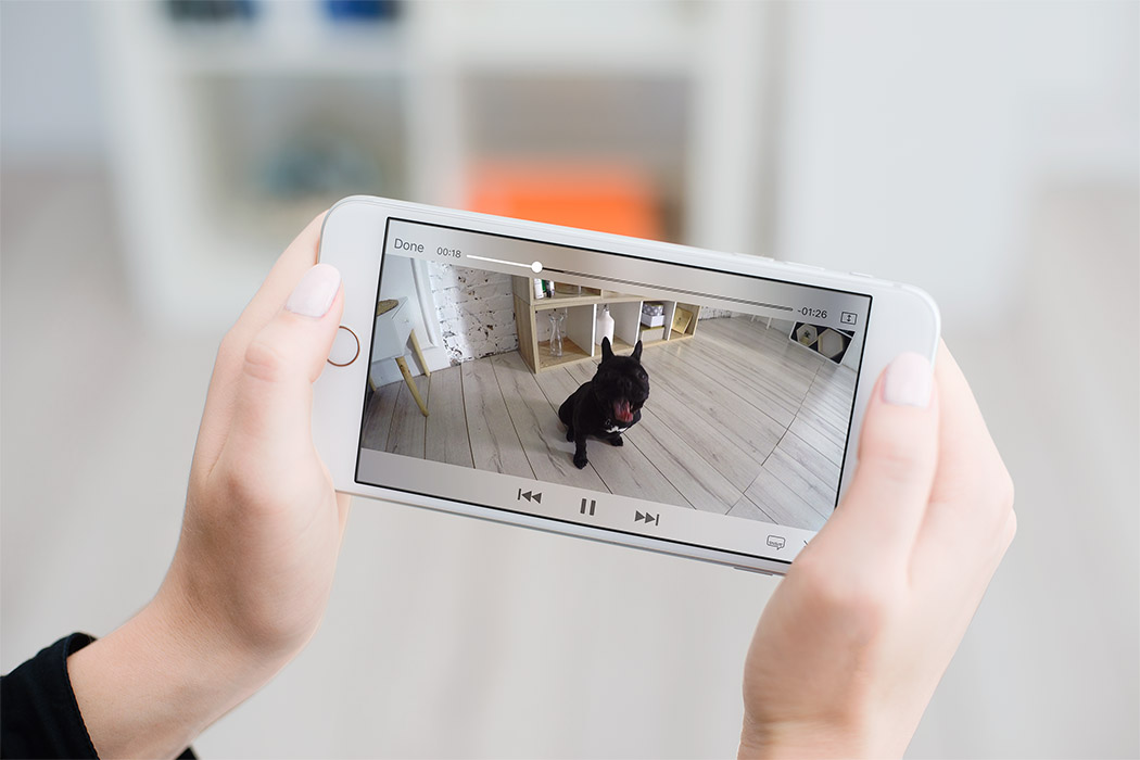 voice，laser，interaction，Small cube，Smart camera，Pets，